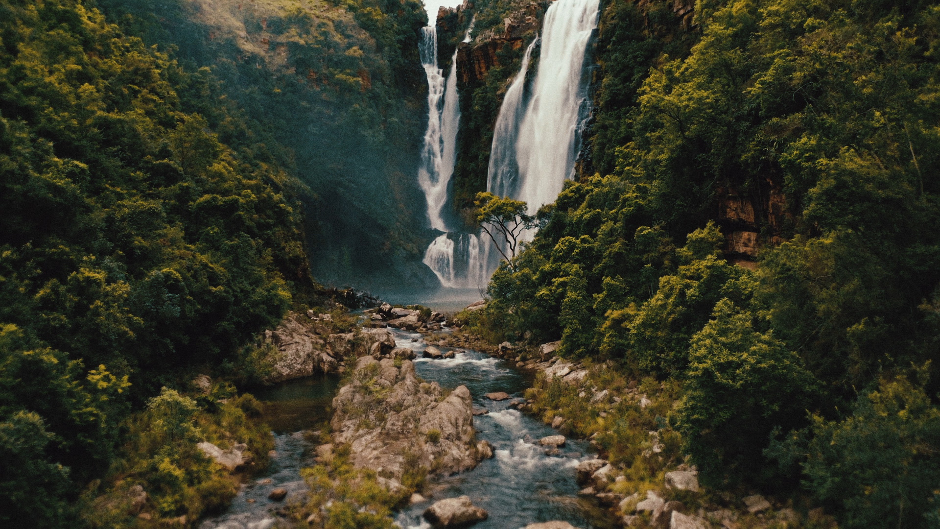 home-banner-image